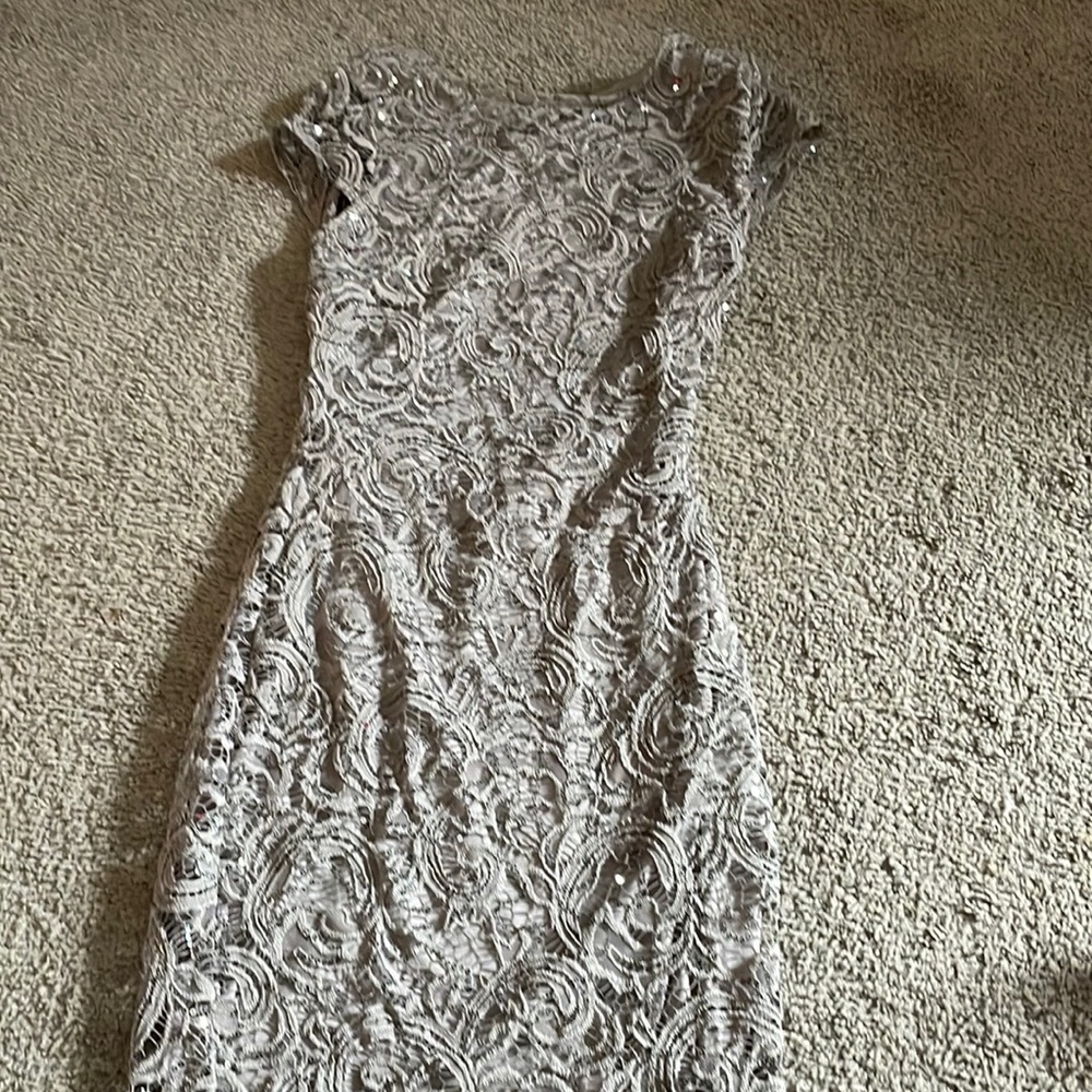 Lace and sequin dress